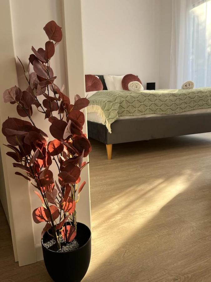 Mathias Premium Apartments 세게드 외부 사진